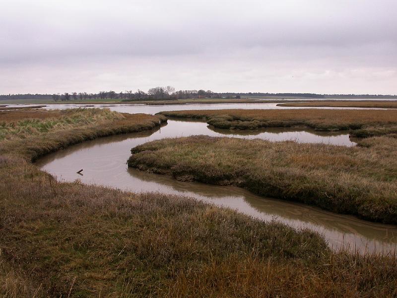 Bulcamp Marshes - DSCN3635.JPG
